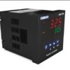 ESM-7750.2.20.2.1/07.03/0.0.0.0 PROCESS CONTROLLER